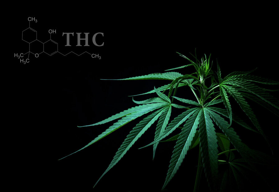 THC (Tétrahydrocannabinol)